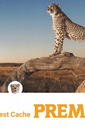 96421e2a4f2674836e4c8f5e7c333541