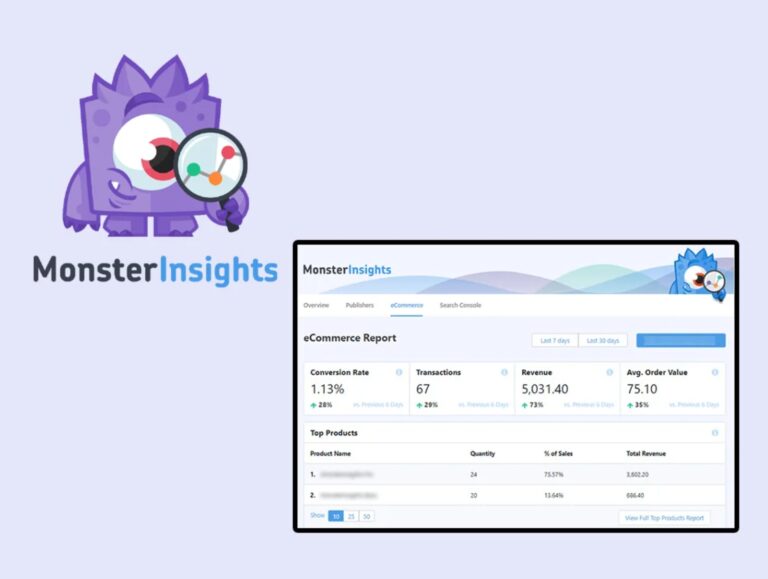 Monster Insights Pro | WTYCZKA DLA WORDPRESS | Inteligentna Analityka GA