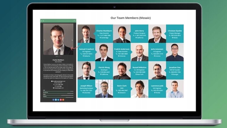 WP Team Pro [stylowe prezentowanie zespołu]